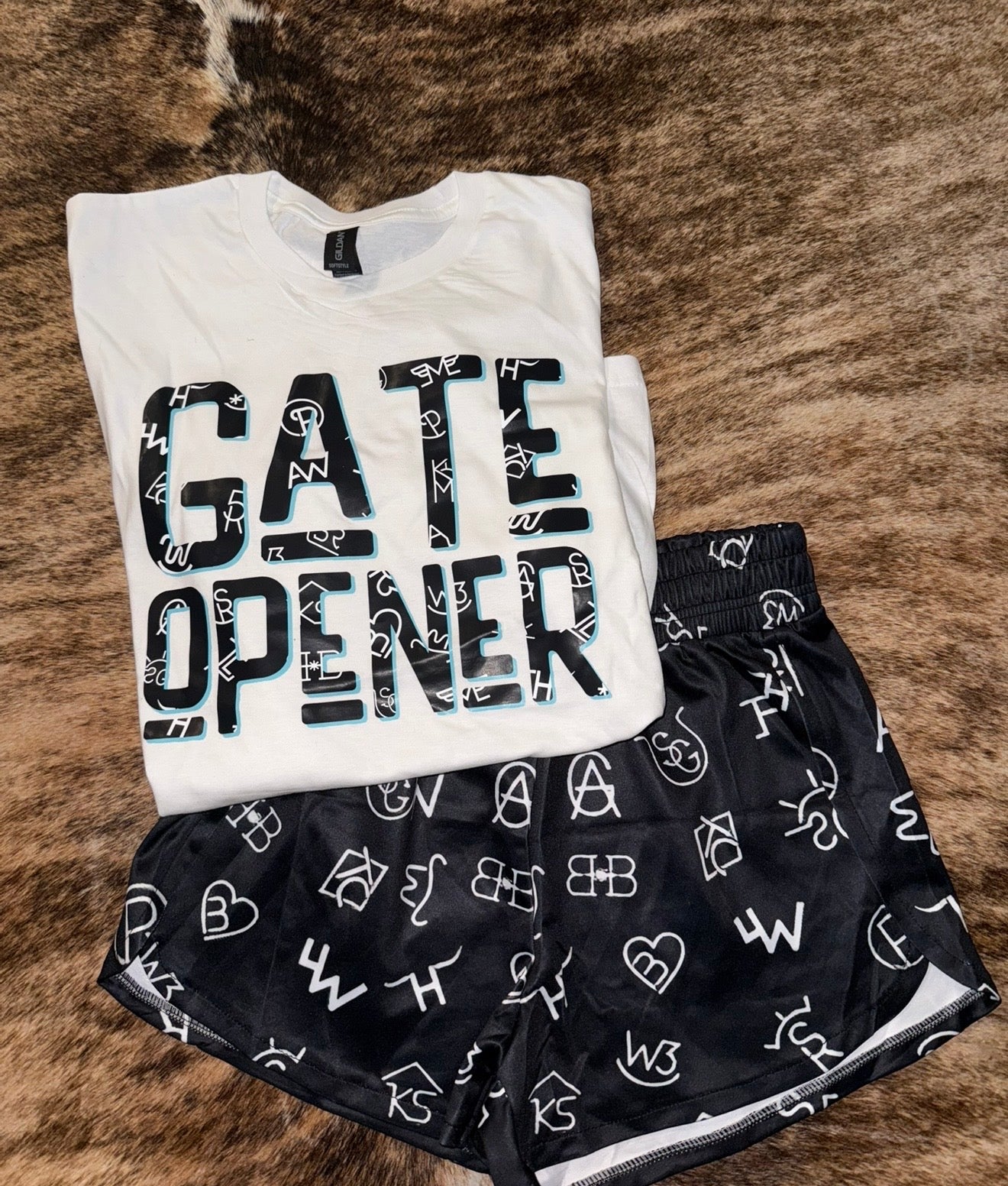 Gate Opener