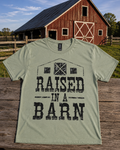 Raised in a Barn tee